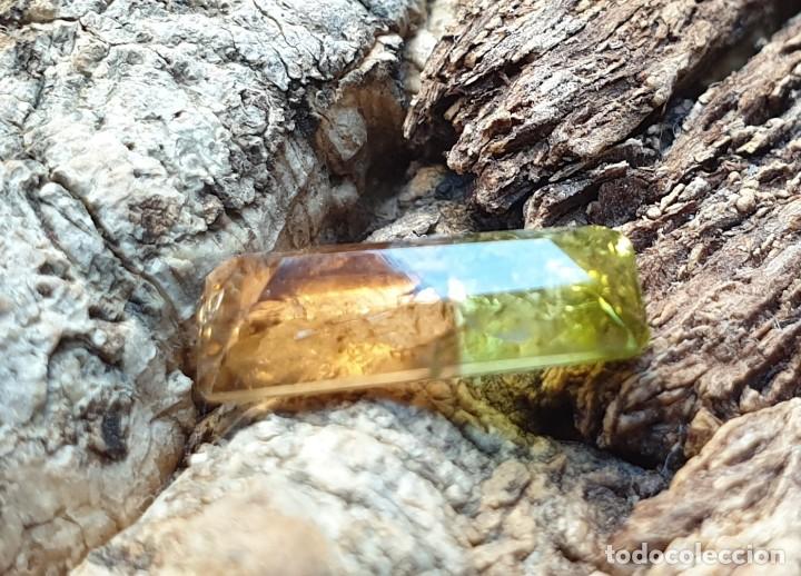 Coleccionismo de gemas: Turmalina Bicolor Gema - Foto 3