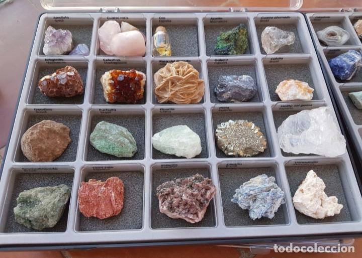 Collectionnisme de gemmes: Colecci&oacute;n de 64 minerales