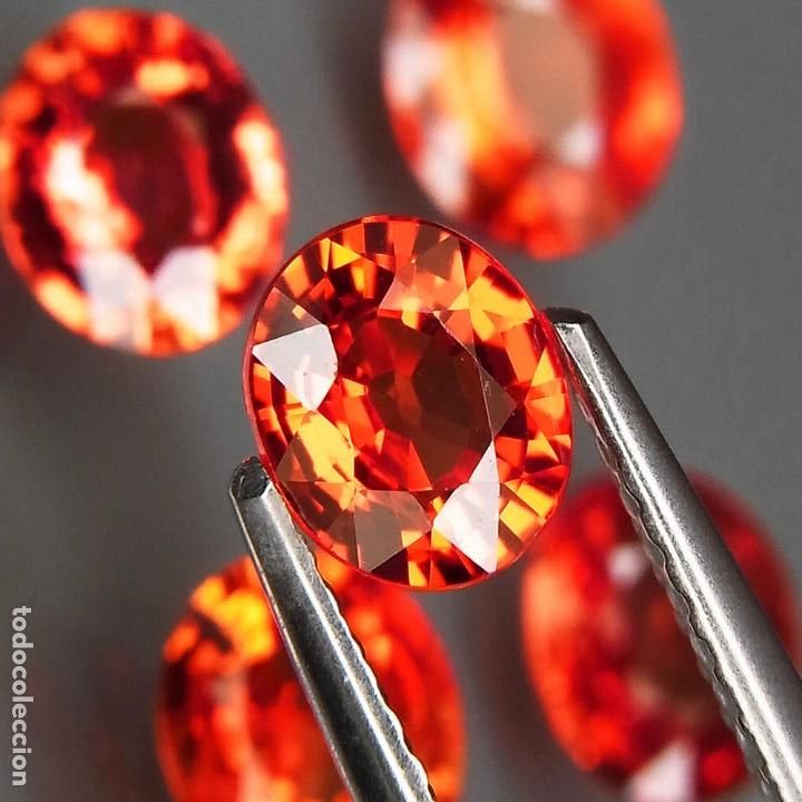 Coleccionismo de gemas: Zafiro 6,0 x 5,0 mm. - Foto 1