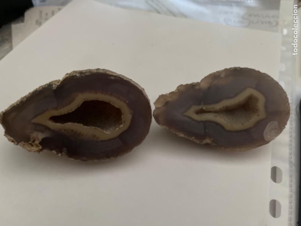 Coleccionismo de gemas: 2 Geodas de Agata - Foto 1