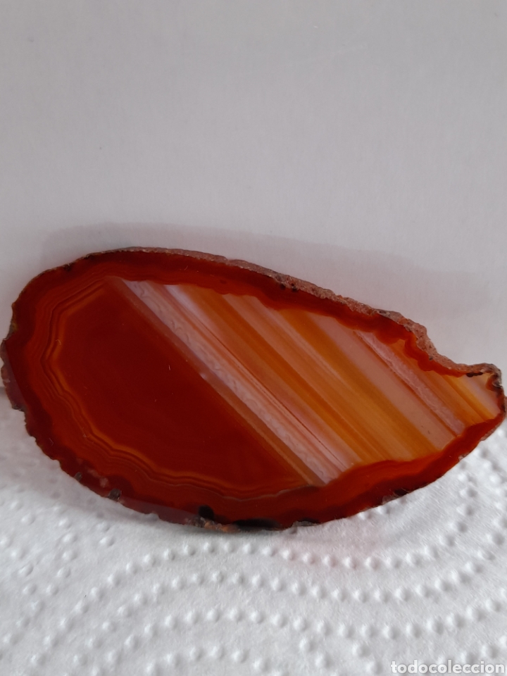 Coleccionismo de gemas: LAMINA DE AGATA 7,5 CM - Foto 1