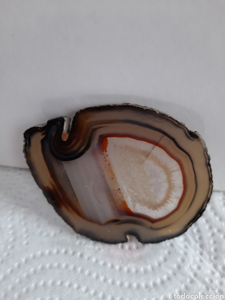 Coleccionismo de gemas: LAMINA DE AGATA 7 CM - Foto 1