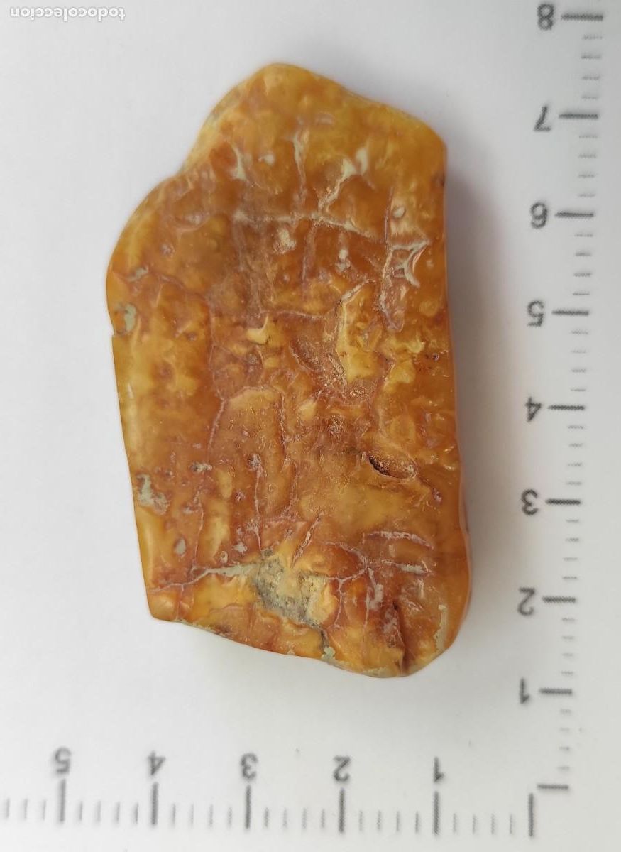 Coleccionismo de gemas: Trozo de &aacute;mbar pulido - Foto 2