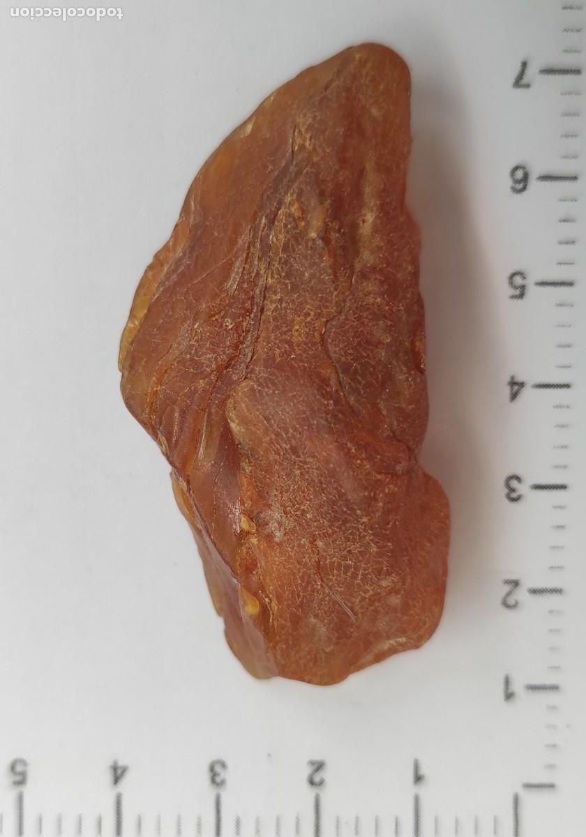 Coleccionismo de gemas: Trozo de &aacute;mbar en bruto - Foto 2