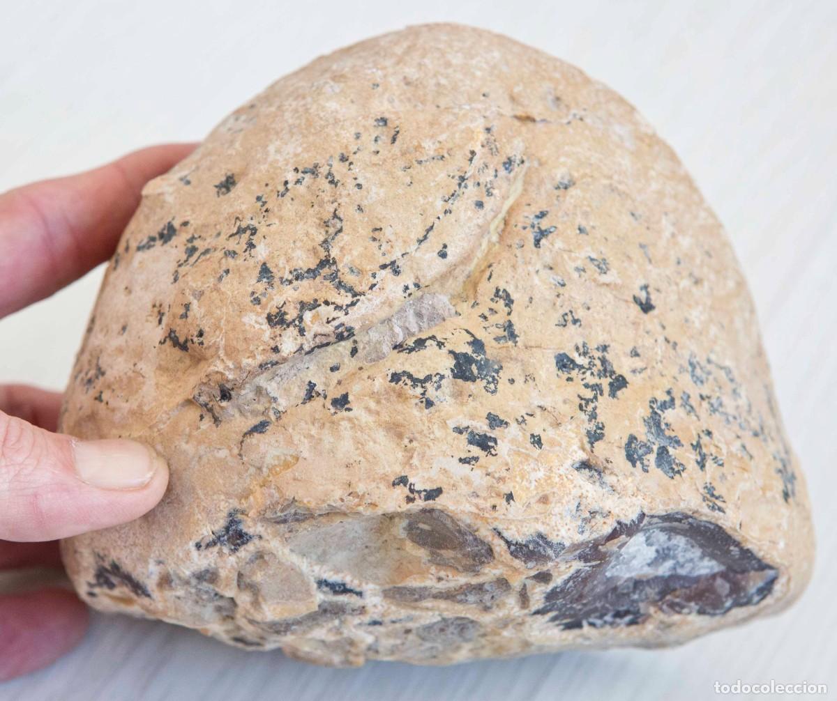 Coleccionismo de gemas: Preciosa geoda de &aacute;gata. - Foto 3