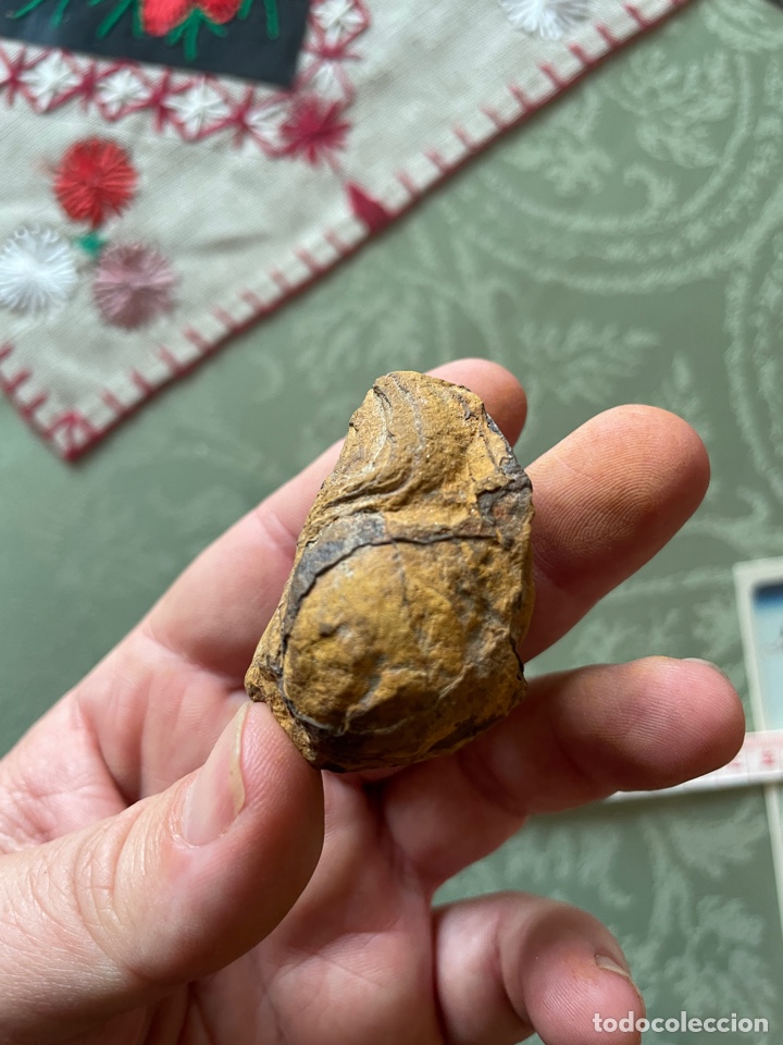 Coleccionismo de gemas: Jaspe amarillo virgen - Foto 1