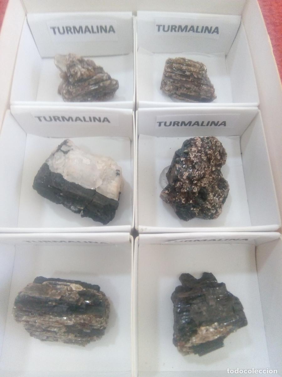 Coleccionismo de gemas: LOTE TURMALINA ROSADA - Foto 1