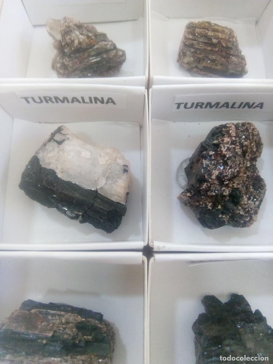 Coleccionismo de gemas: LOTE TURMALINA ROSADA - Foto 2