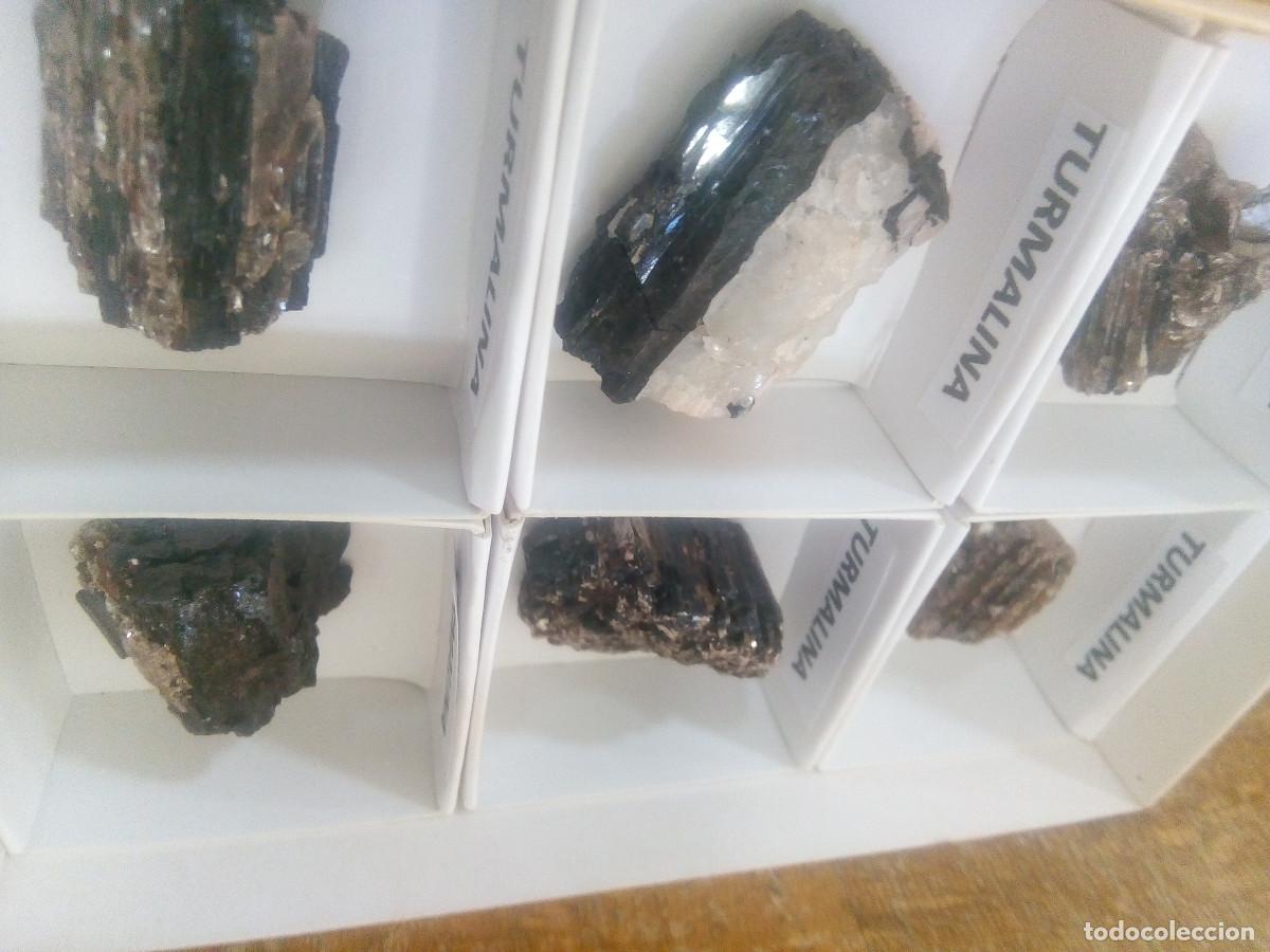Coleccionismo de gemas: LOTE TURMALINA ROSADA - Foto 3