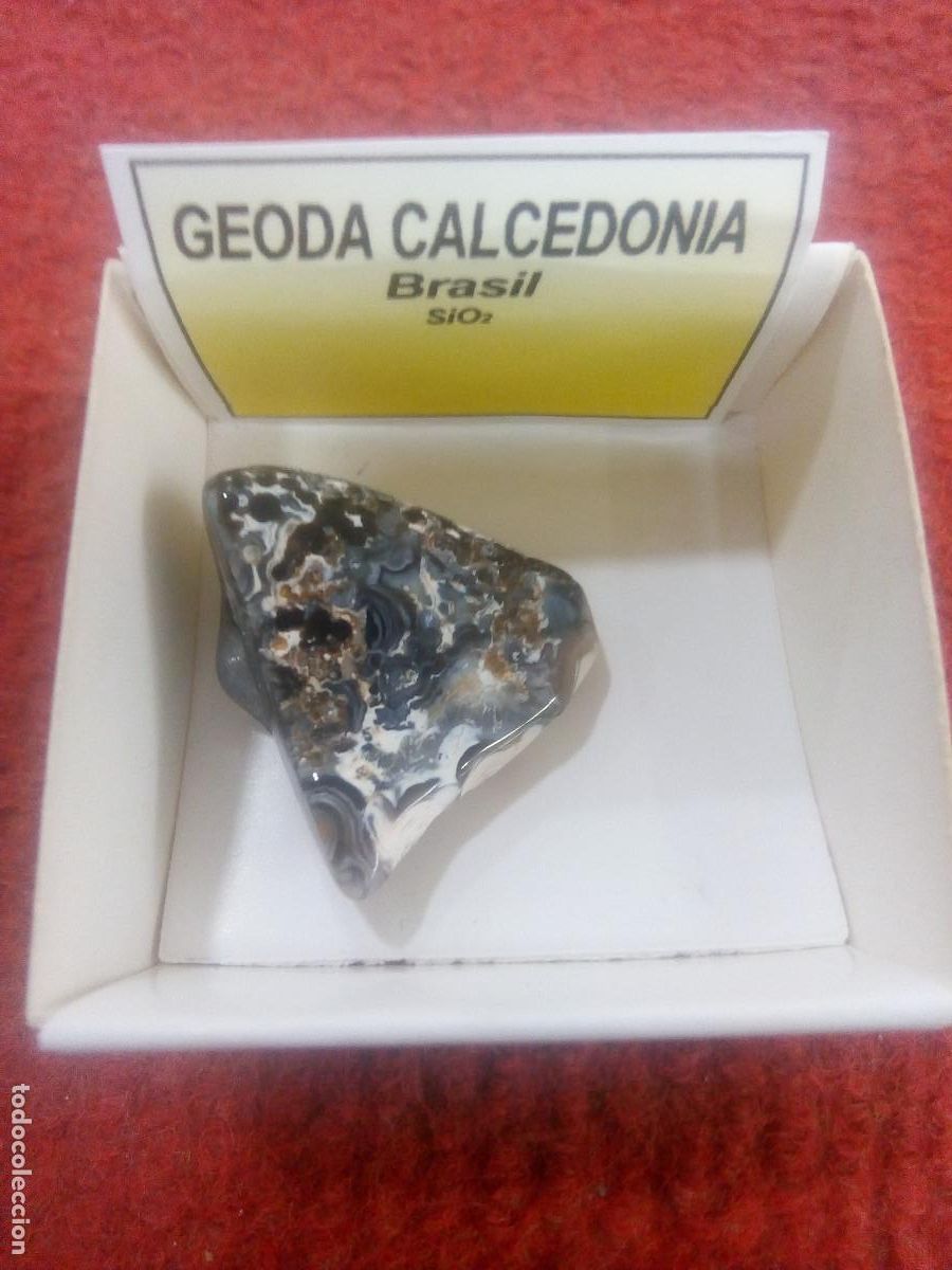 Coleccionismo de gemas: GEODA CALCEDONIA - Foto 1