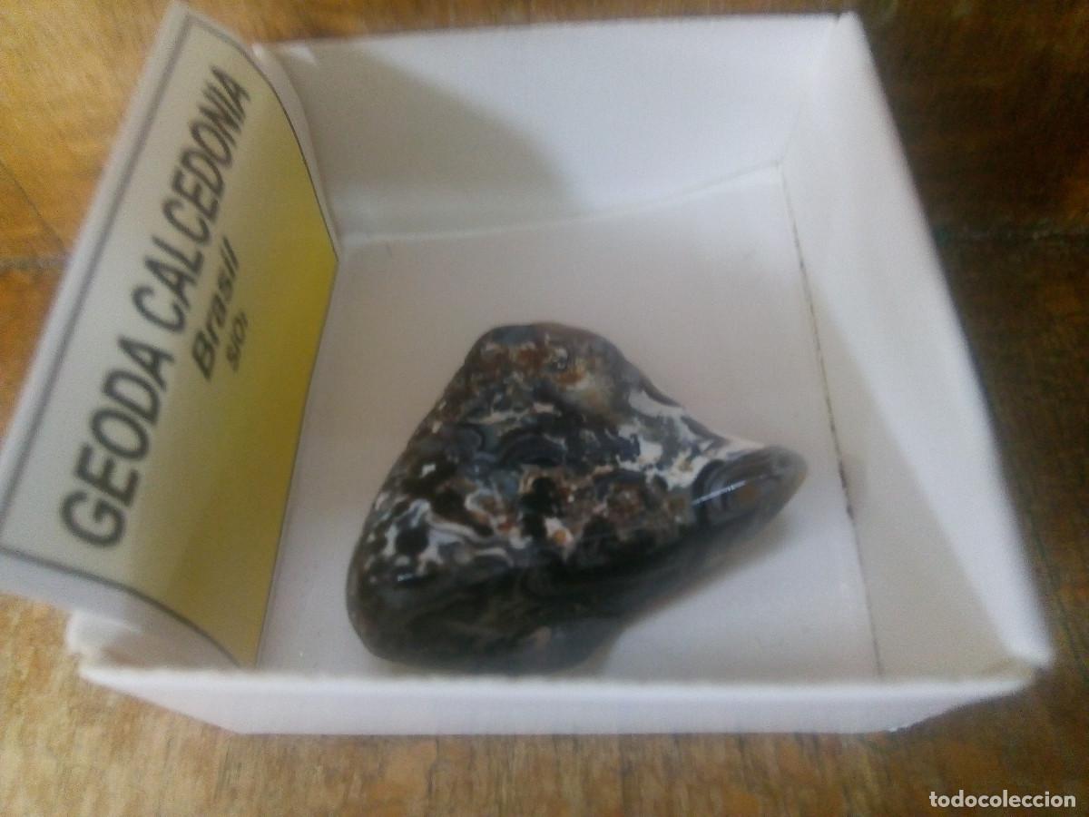 Coleccionismo de gemas: GEODA CALCEDONIA - Foto 2