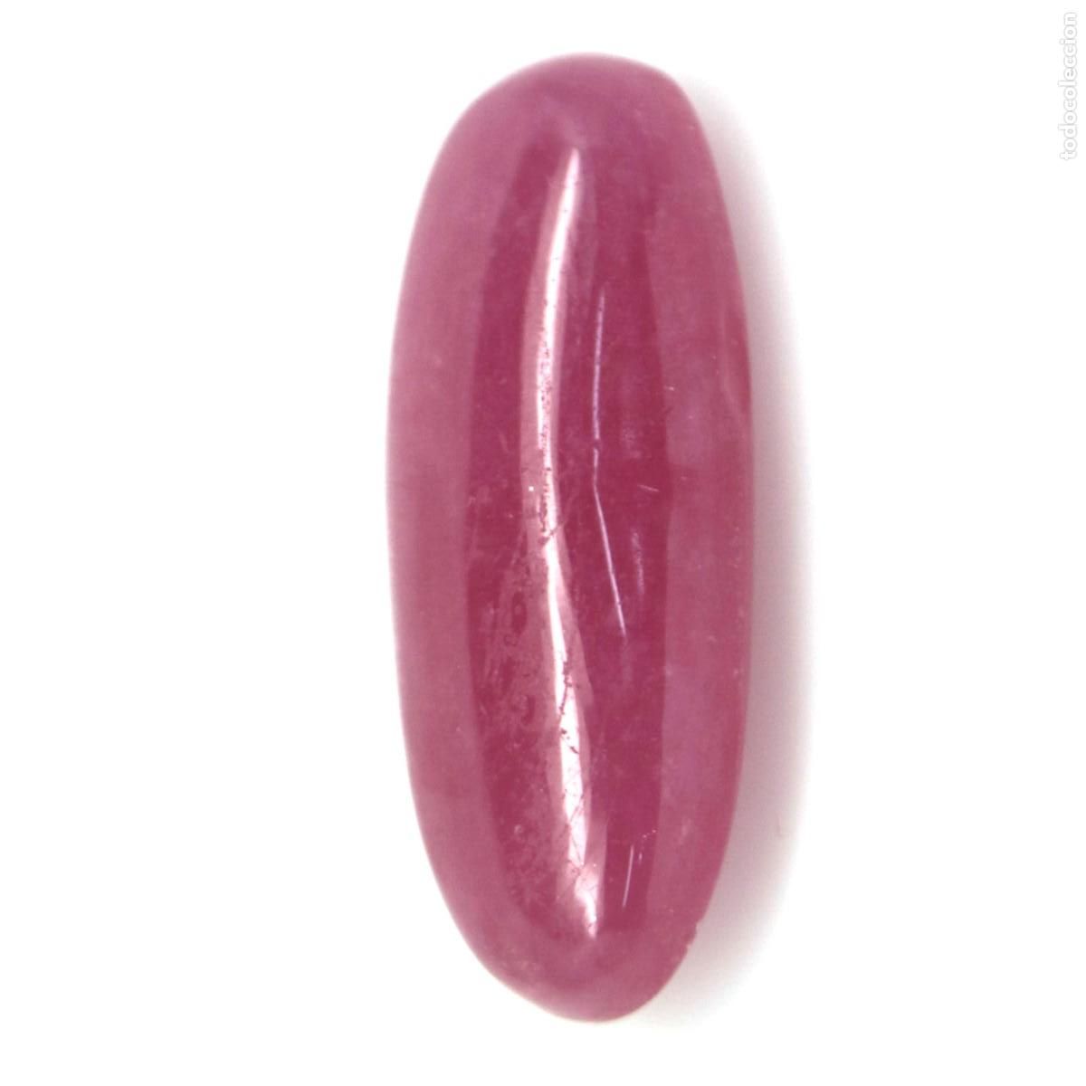 Coleccionismo de gemas: Rubi Oval 21,0 x 9,0 mm. - Foto 2