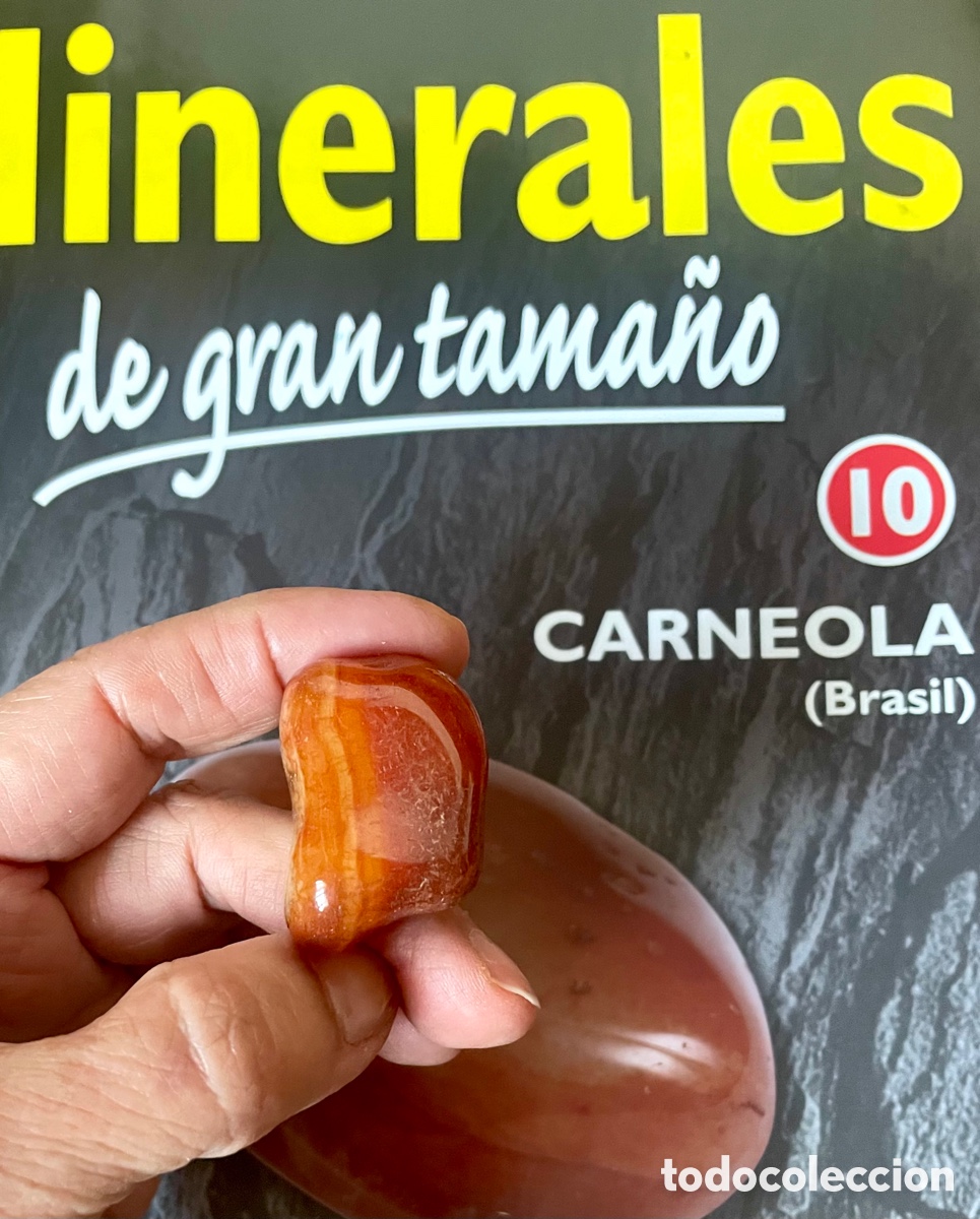 Coleccionismo de gemas: CORNALINA Gema Mineral - Foto 1