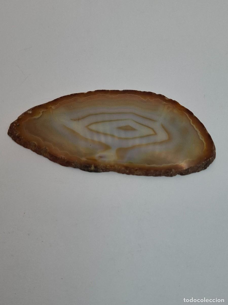 Coleccionismo de gemas: RODAJA DE AGATA PEQUE&Ntilde;A - Foto 2