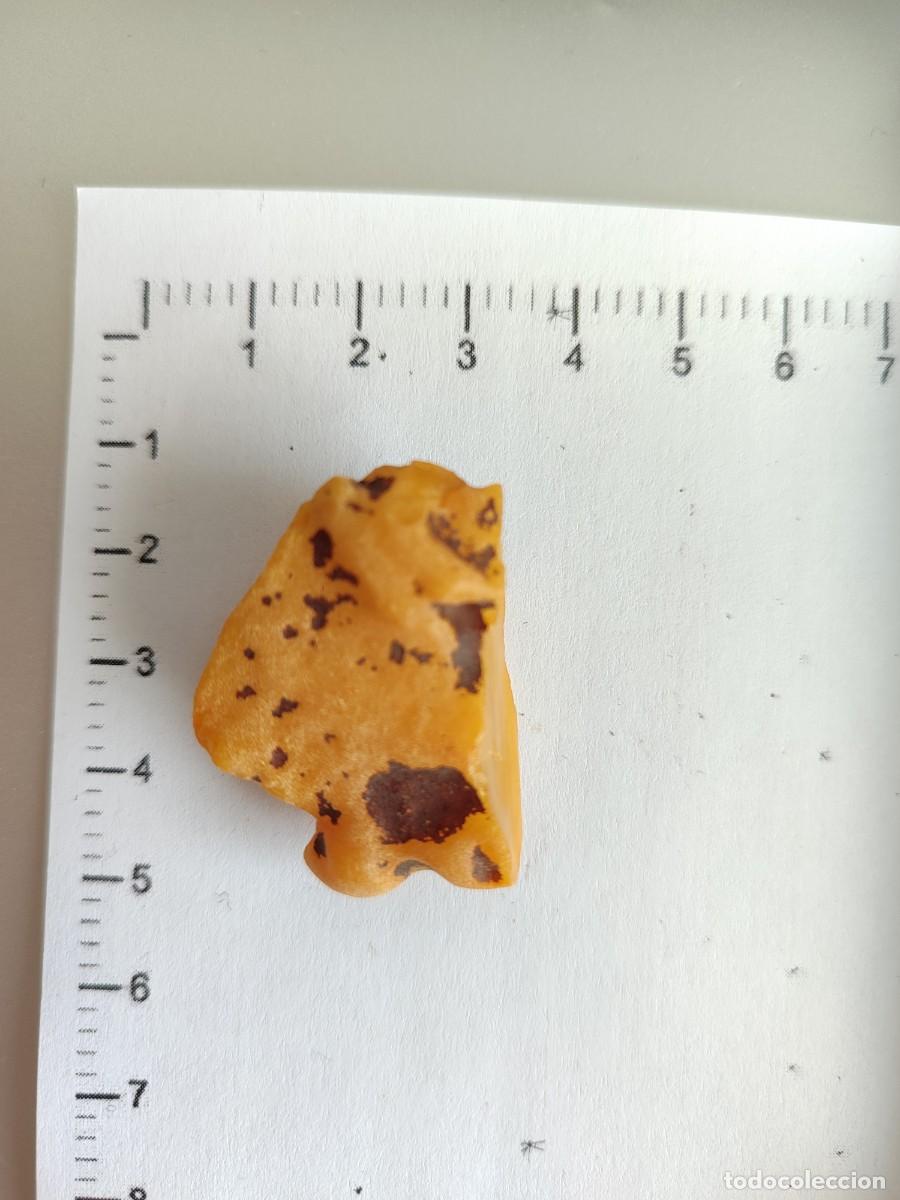 Coleccionismo de gemas: Trozo de &aacute;mbar natural b&aacute;ltico - Foto 1