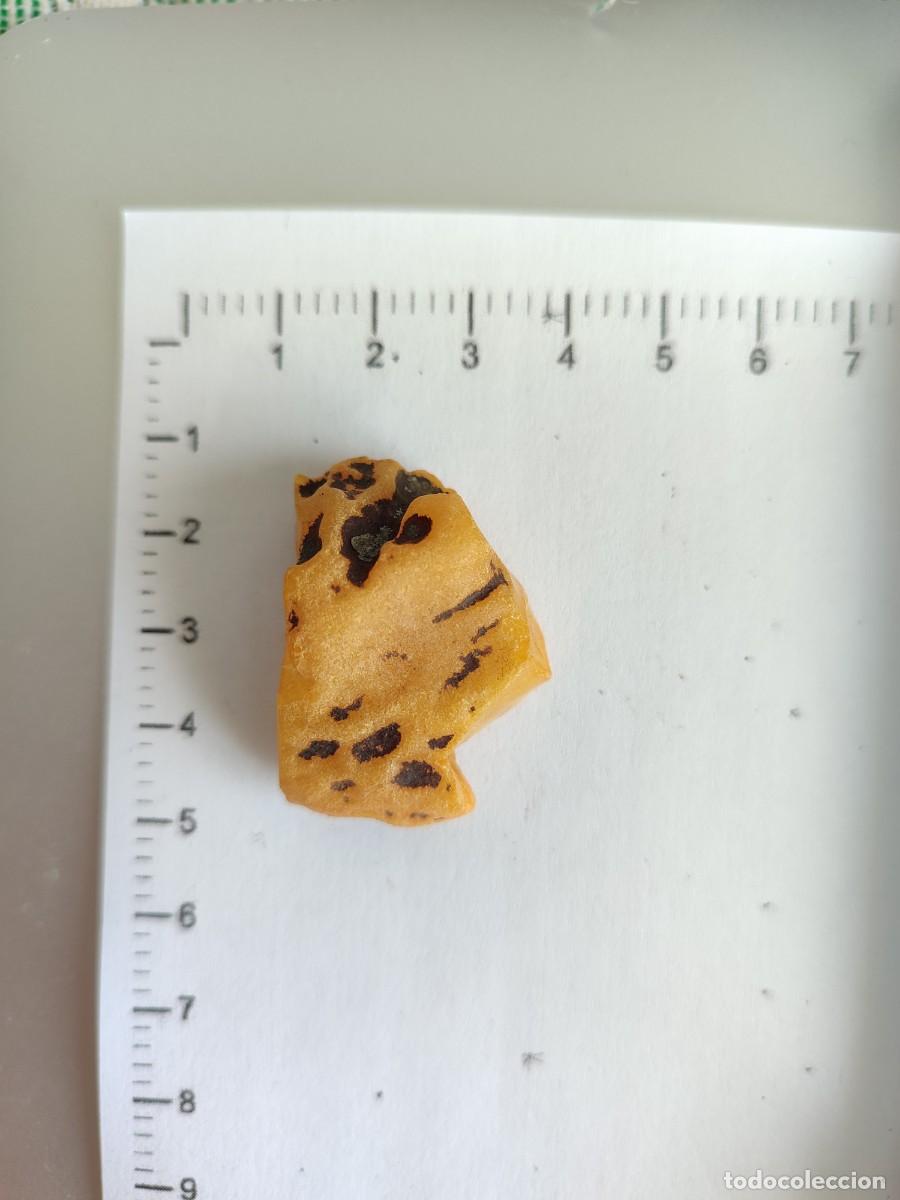 Coleccionismo de gemas: Trozo de &aacute;mbar natural b&aacute;ltico - Foto 2