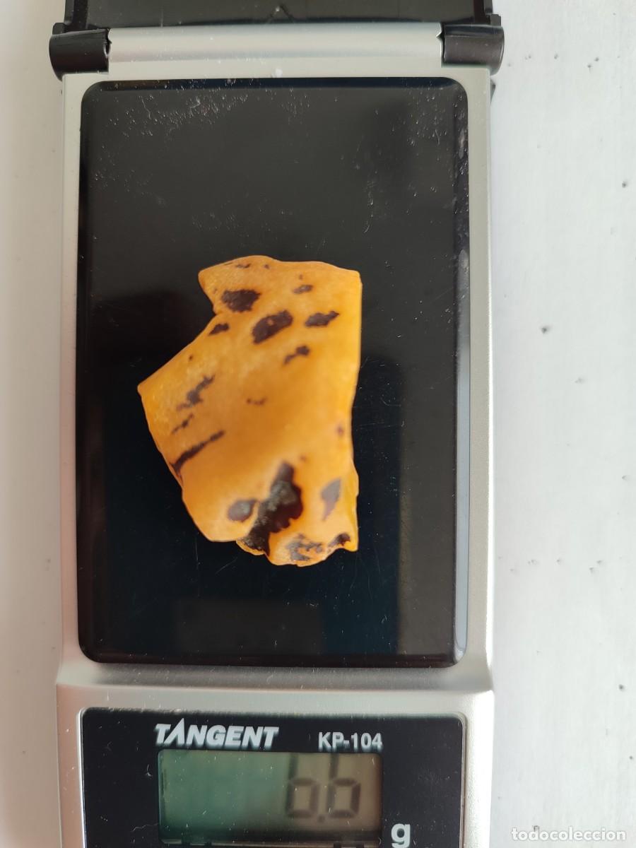 Coleccionismo de gemas: Trozo de &aacute;mbar natural b&aacute;ltico - Foto 3