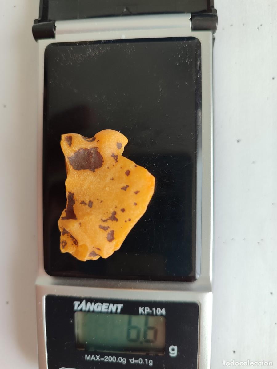 Coleccionismo de gemas: Trozo de &aacute;mbar natural b&aacute;ltico - Foto 4