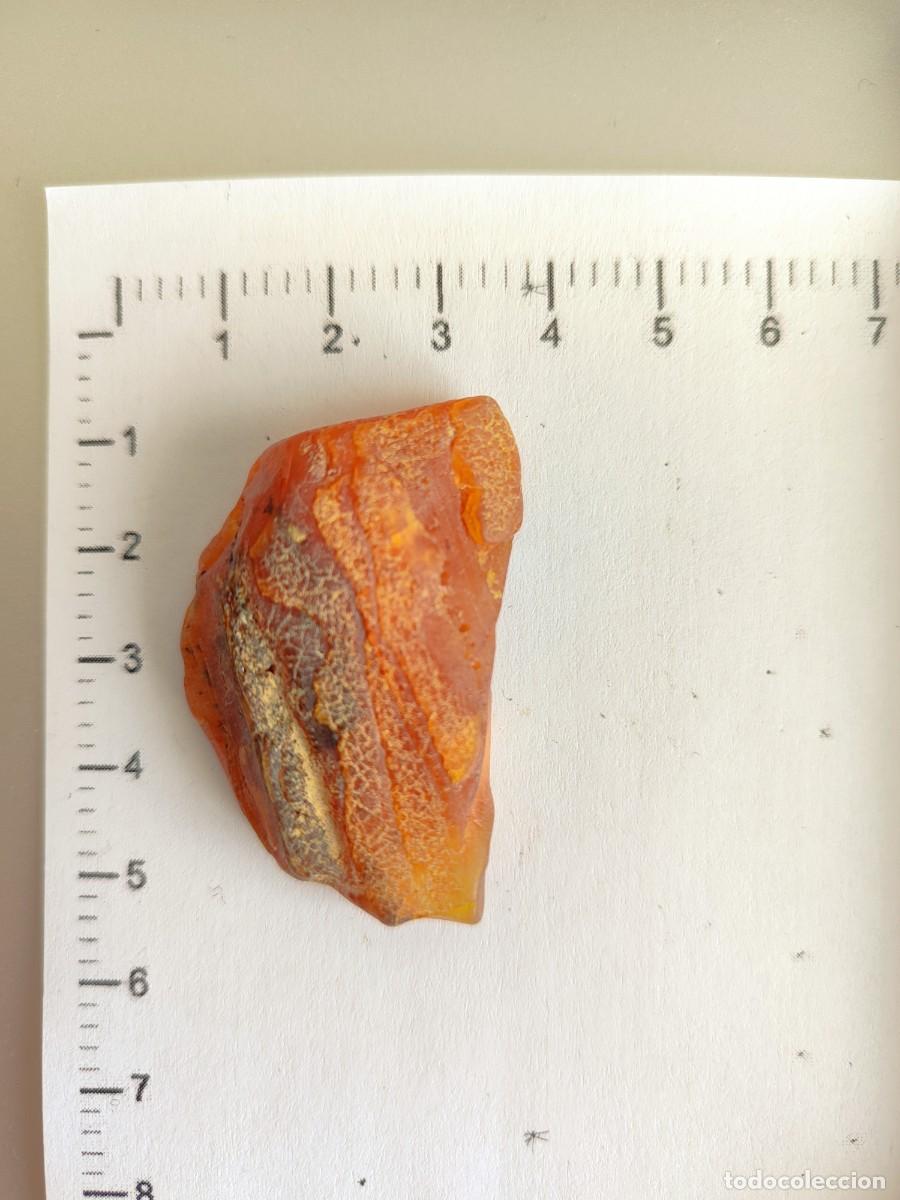 Coleccionismo de gemas: Trozo de &aacute;mbar natural b&aacute;ltico - Foto 1