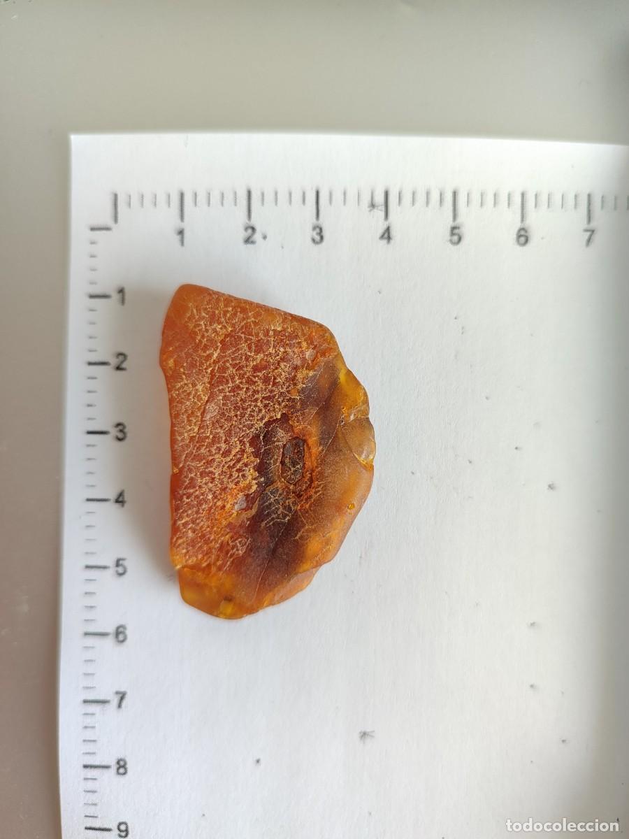 Coleccionismo de gemas: Trozo de &aacute;mbar natural b&aacute;ltico - Foto 2
