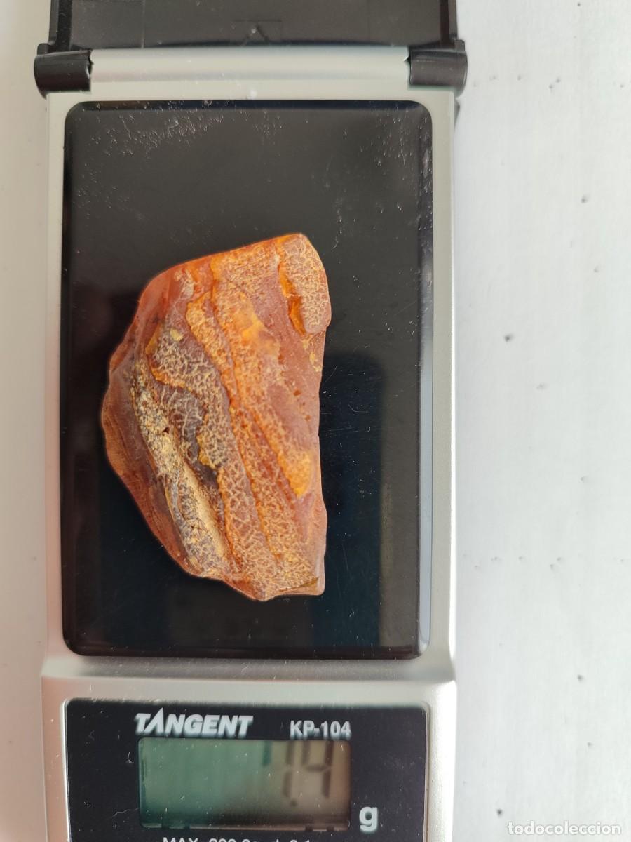Coleccionismo de gemas: Trozo de &aacute;mbar natural b&aacute;ltico - Foto 3