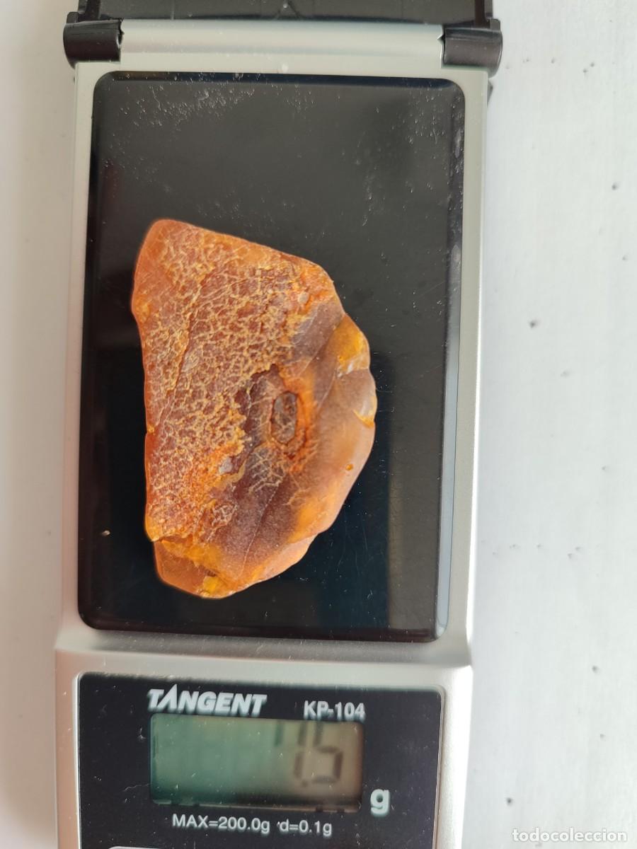 Coleccionismo de gemas: Trozo de &aacute;mbar natural b&aacute;ltico - Foto 4