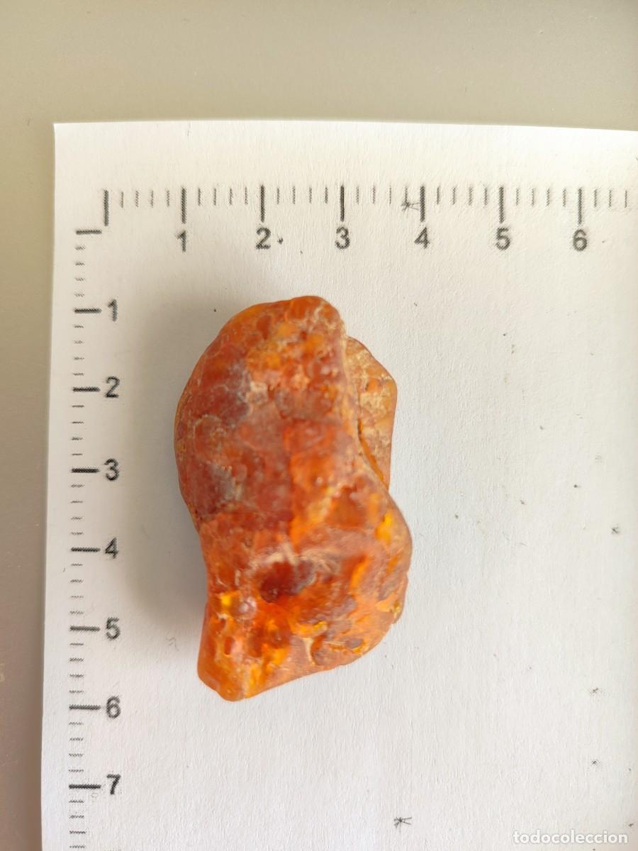 Coleccionismo de gemas: Trozo de &aacute;mbar natural b&aacute;ltico - Foto 1