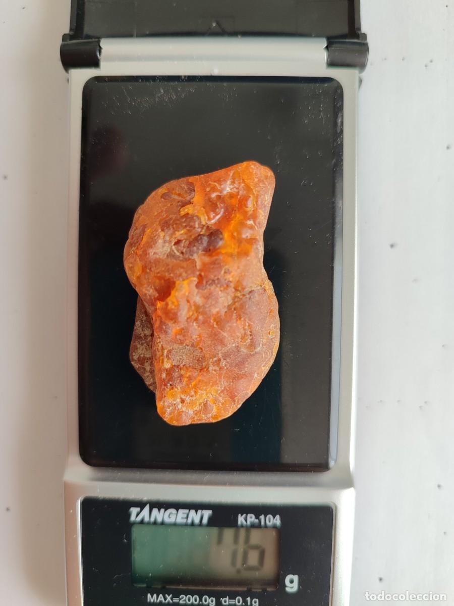 Coleccionismo de gemas: Trozo de &aacute;mbar natural b&aacute;ltico - Foto 2