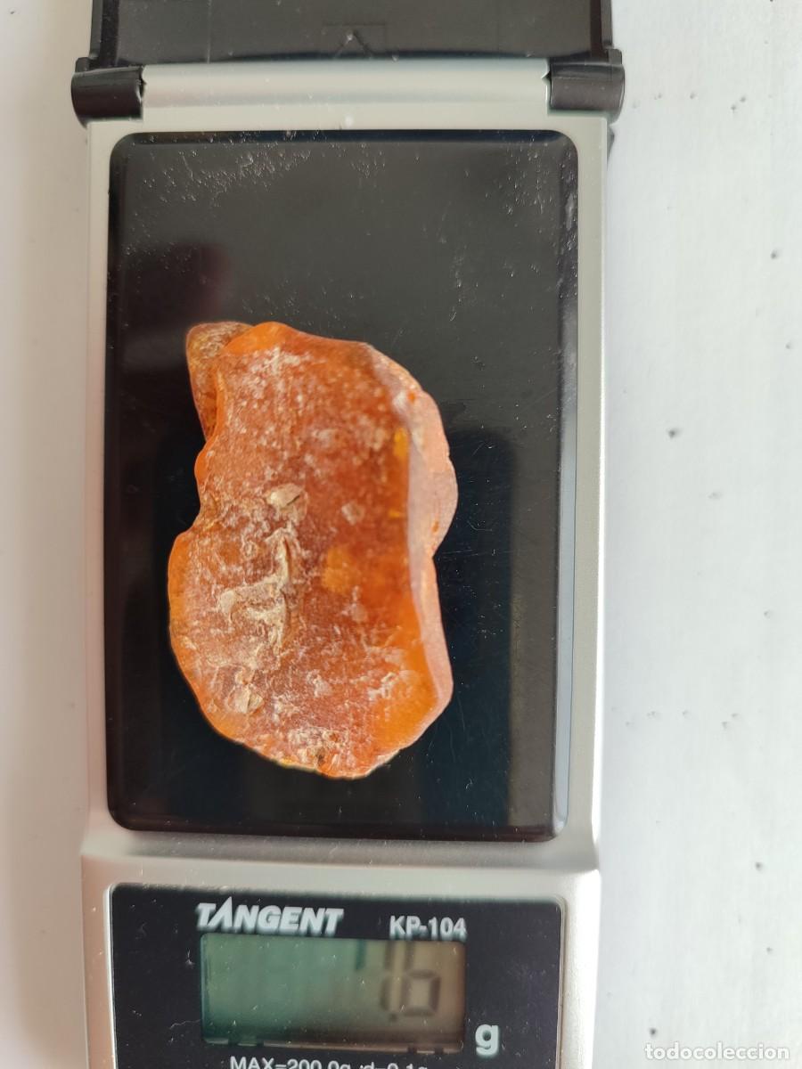 Coleccionismo de gemas: Trozo de &aacute;mbar natural b&aacute;ltico - Foto 3