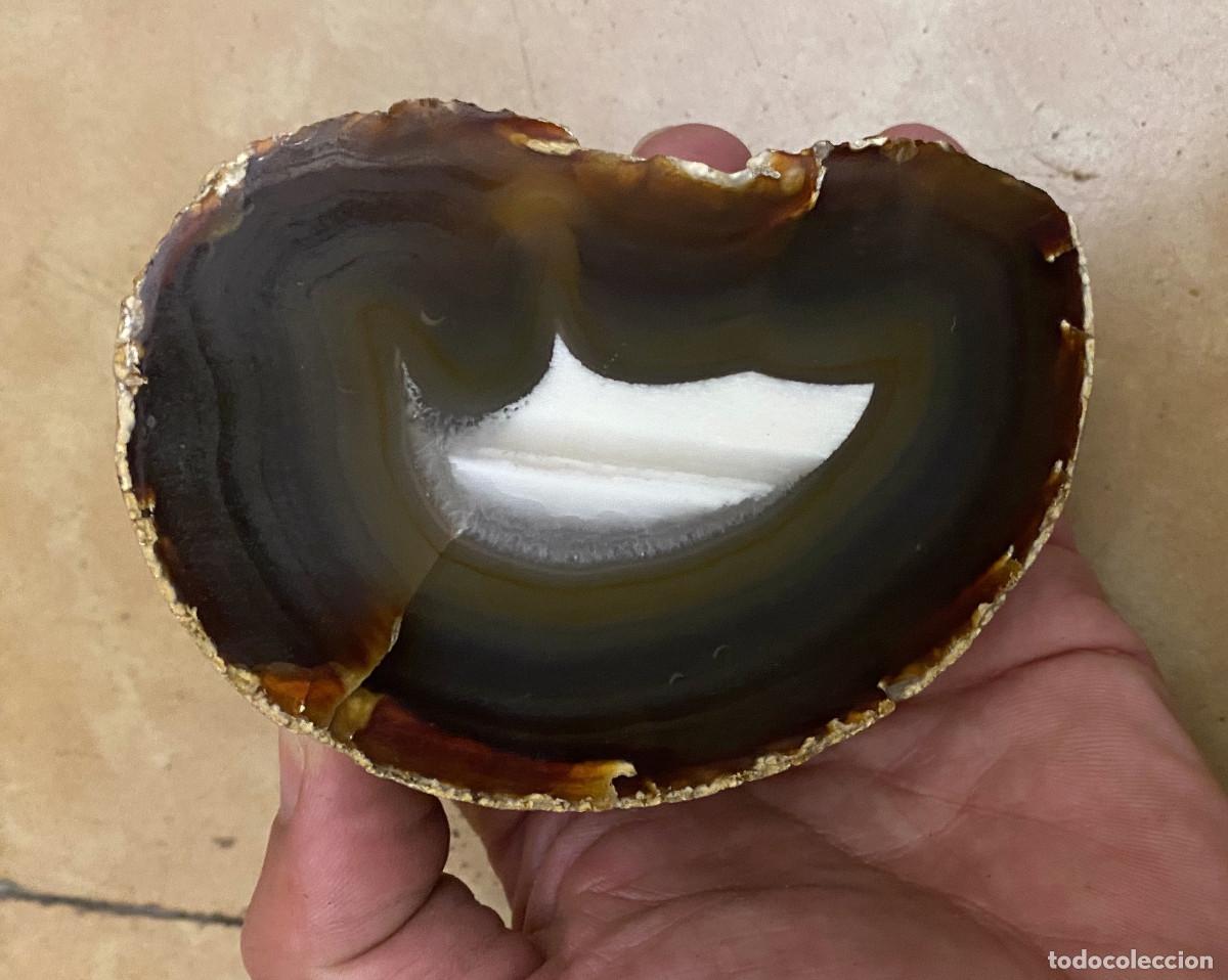 Coleccionismo de gemas: Geoda &Aacute;gata Cortada y Pulida - Foto 1