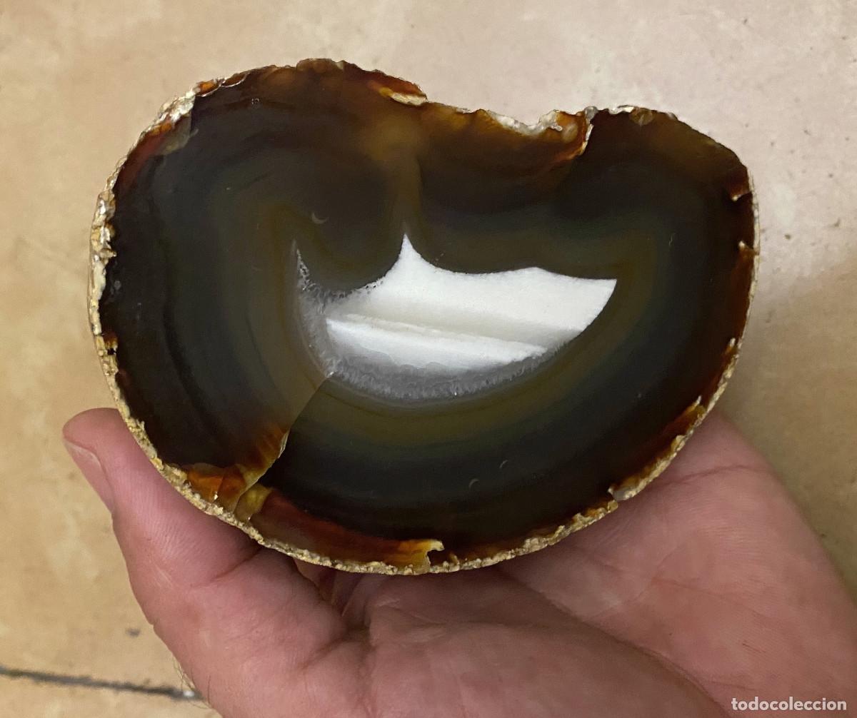 Coleccionismo de gemas: Geoda &Aacute;gata Cortada y Pulida - Foto 2
