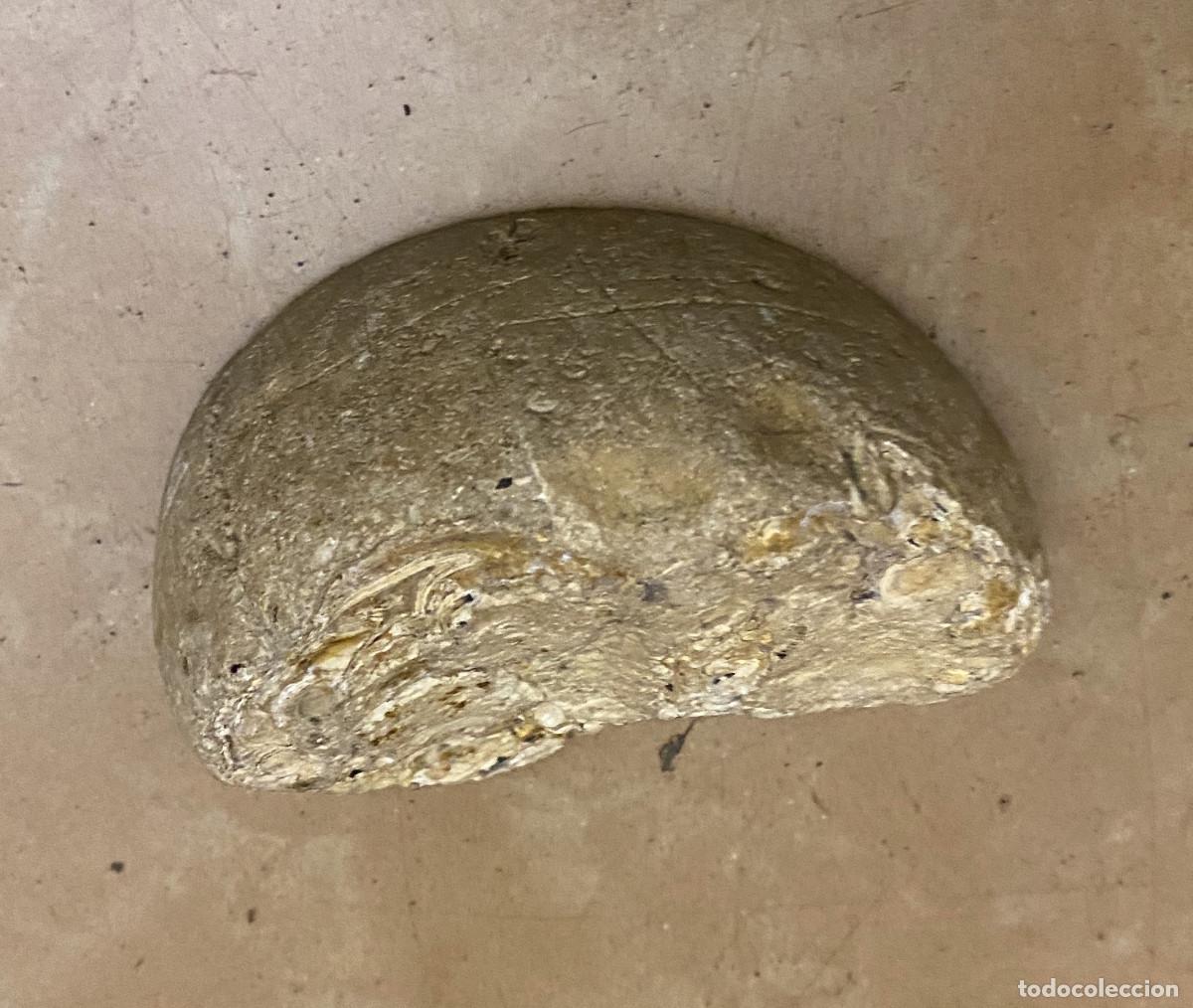 Coleccionismo de gemas: Geoda &Aacute;gata Cortada y Pulida - Foto 6
