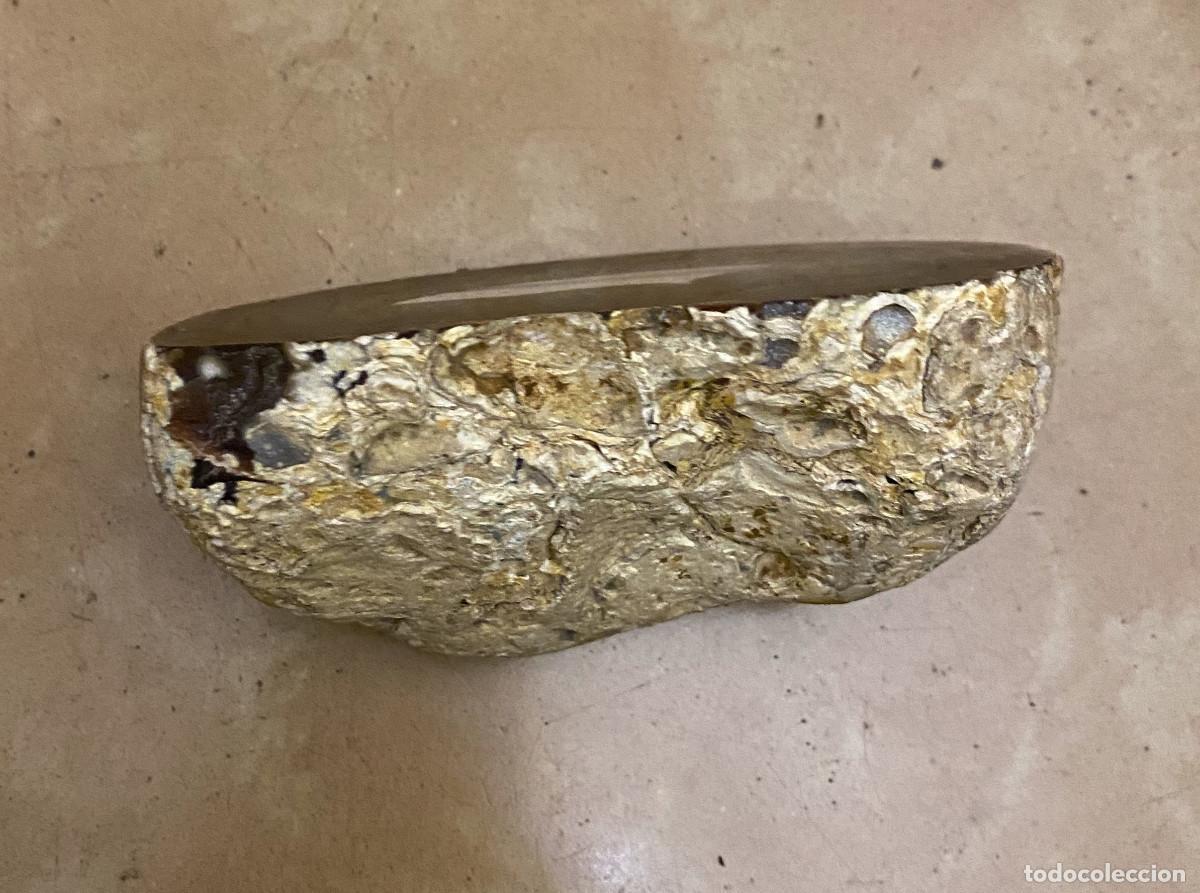 Coleccionismo de gemas: Geoda &Aacute;gata Cortada y Pulida - Foto 7
