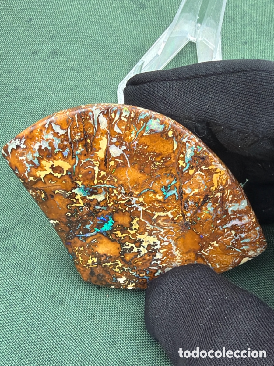Coleccionismo de gemas: &Oacute;palo Boulder australiano - Foto 12