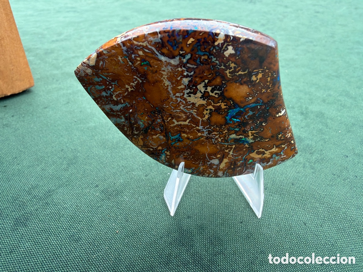 Coleccionismo de gemas: &Oacute;palo Boulder australiano - Foto 13