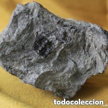 Coleccionismo de gemas: Bloque de cristales de cuarzo. - Foto 3