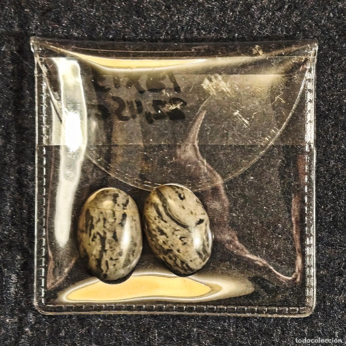 Gem collecting: PAREJA DE TALLA AGATA OVAL CABUJON. MED. 18 X 13 MM. PESO 22,45 CTS