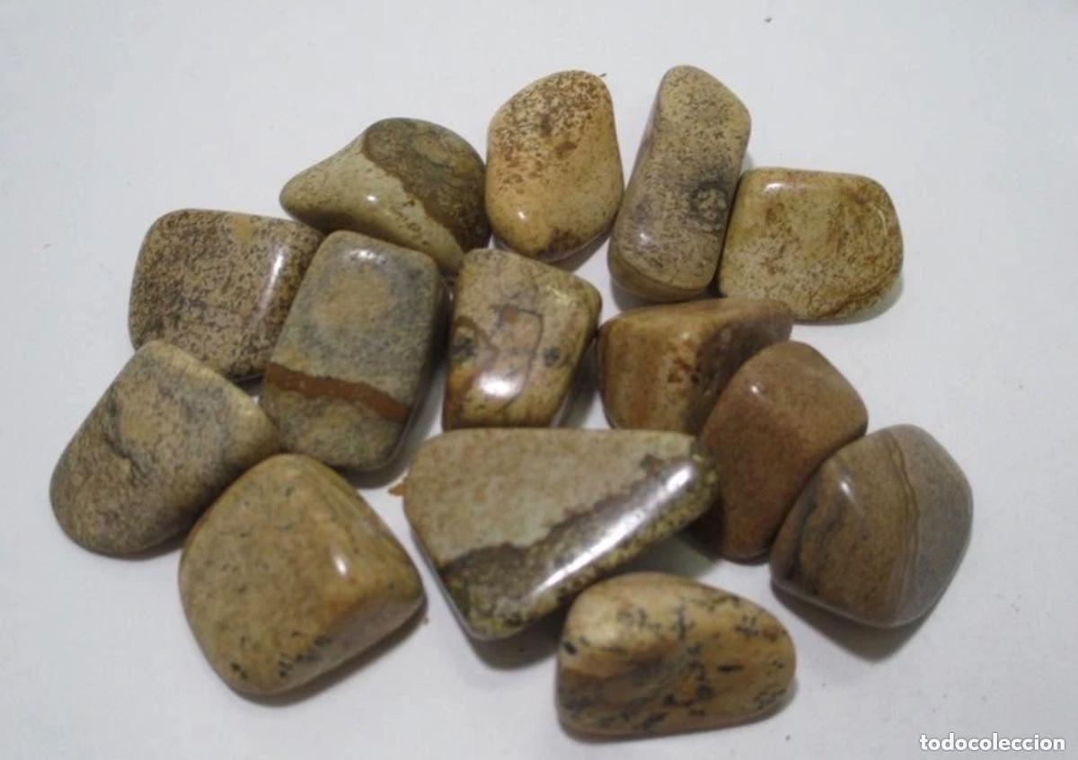 Collectionnisme de gemmes: LOTE DE JASPE PAISAJE (LANDSCHAFTSJASPIS) &ndash; PIEDRA NATURAL PULIDA