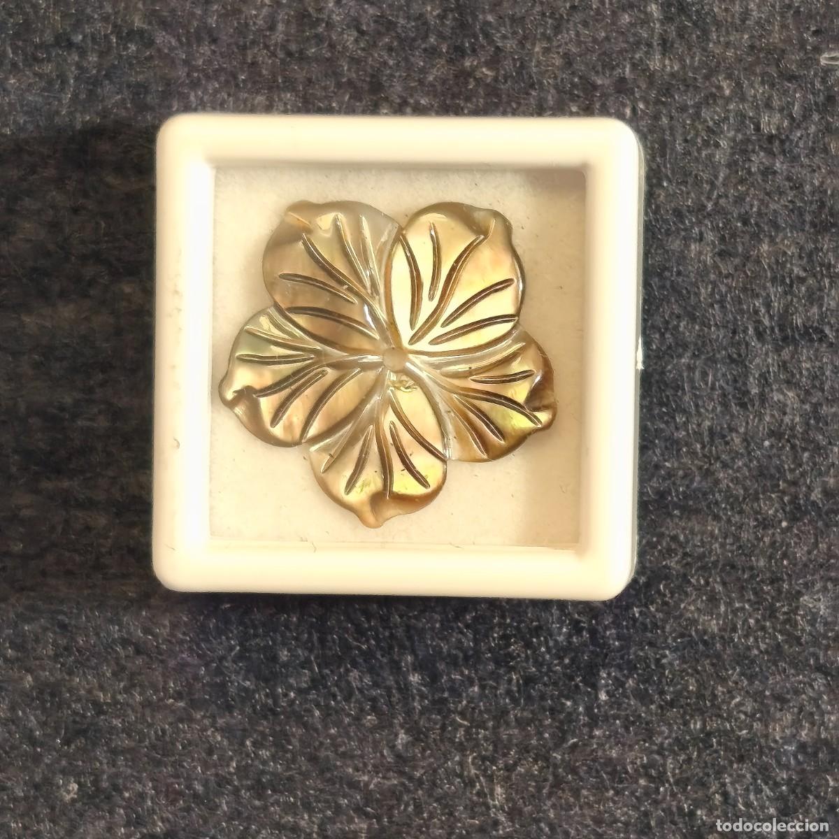 Coleccionismo de gemas: NACAR AUSTRALIA GRIS TALLA FLOR. MED. 20 X20. PESO 4,40 CTS