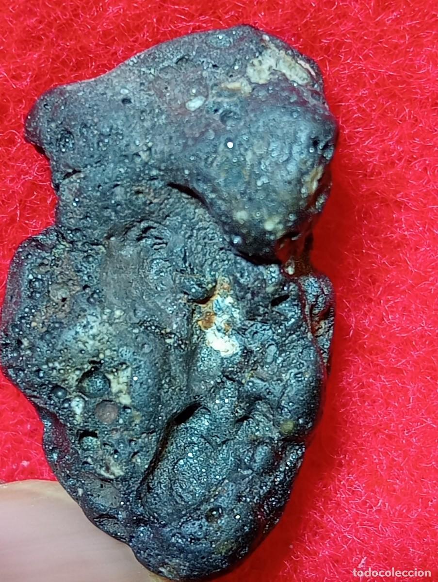 Coleccionismo de gemas: AUT&Eacute;NTICO METEORITO CONDRITA CARBONACEA - Foto 7