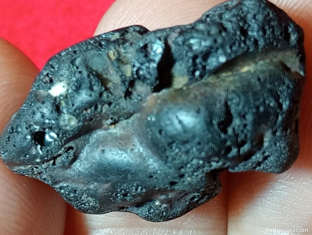 Coleccionismo de gemas: AUT&Eacute;NTICO METEORITO CONDRITA CARBONACEA - Foto 10