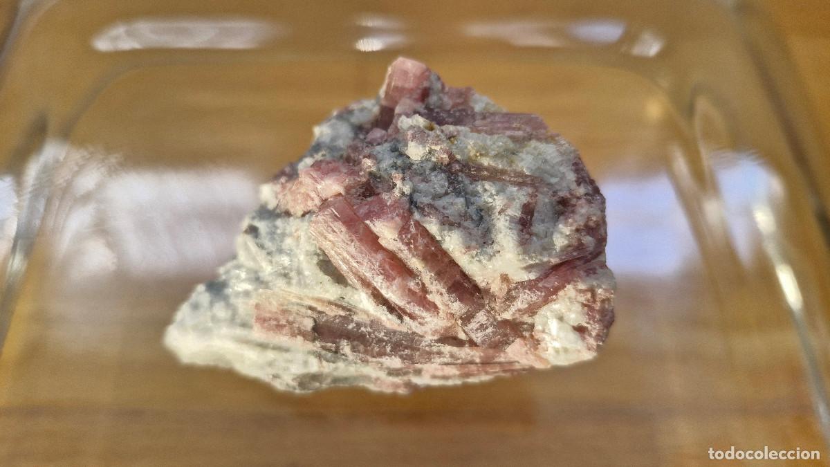 Coleccionismo de gemas: Turmalina Rosa incrustada en Cuarzo Turmalina Rubelita Natural