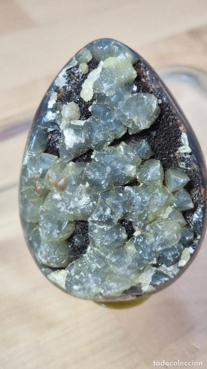 Coleccionismo de gemas: Piedra Dragon Septariana Geoda Septaria Natural Calidad AAA+++