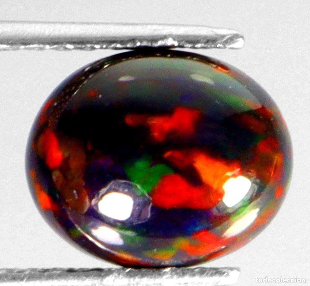 Coleccionismo de gemas: Opalo Negro 11,0 x 9,0 mm
