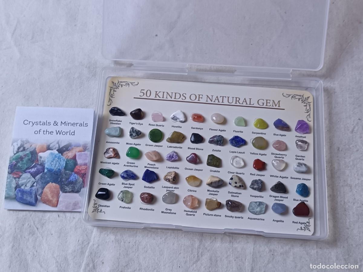 Gem collecting: Colecci&oacute;n de gemas y minerales naturales, clasificadas, completa, en estuche, con hoja informativa