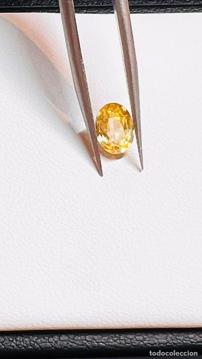 Coleccionismo de gemas: Zafiro Amarillo Natural Sin Tratamiento &ndash; 0,56 ct - CON CERTIFICACION GEMOLOGICA