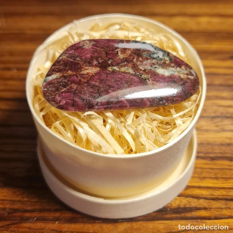 Coleccionismo de gemas: Eudyalita natural o sangre de Dragon pulida de 24 gramos