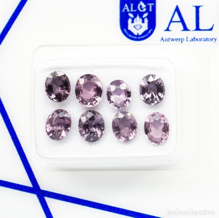 Coleccionismo de gemas: 8 NATURAL SPINELS 3.25 CT &ndash; PURPLISH PINK &ndash; MYANMAR &ndash; UNTREATED &ndash; ALGT