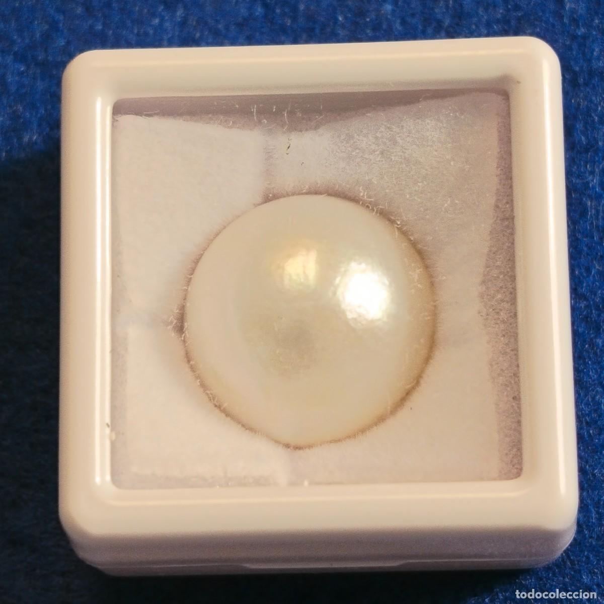 Gem collecting: PERLA MABE O JAPONESA. MED. 15 MM. PESO 9,89 CTS.