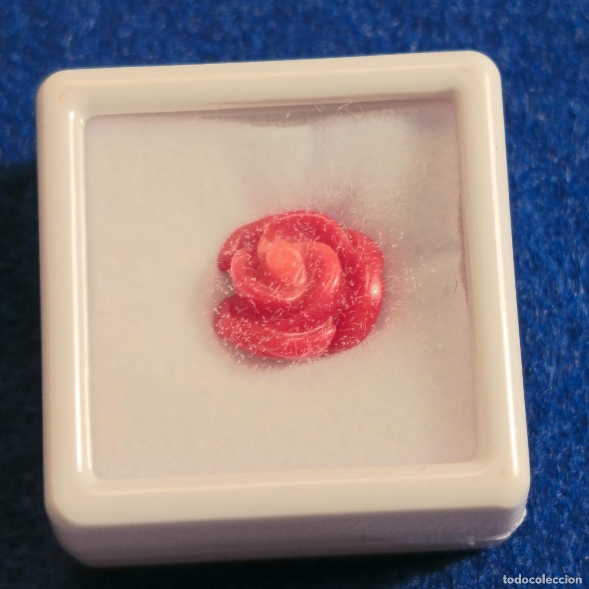 Collezionismo di gemme: CORAL ROJO TALLA FLOR. MED. 10 MM. PESO 4,32 CTS